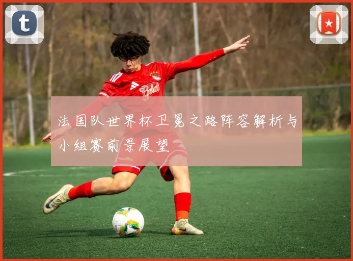 法国队世界杯卫冕之路阵容解析与小组赛前景展望