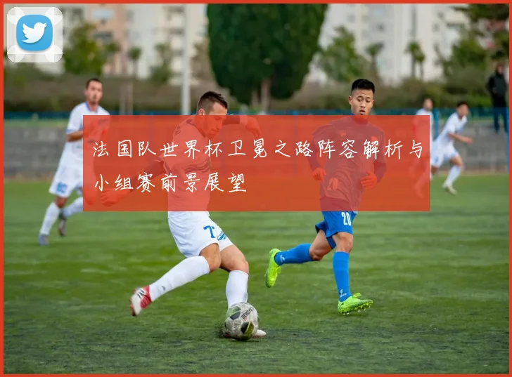 法国队世界杯卫冕之路阵容解析与小组赛前景展望