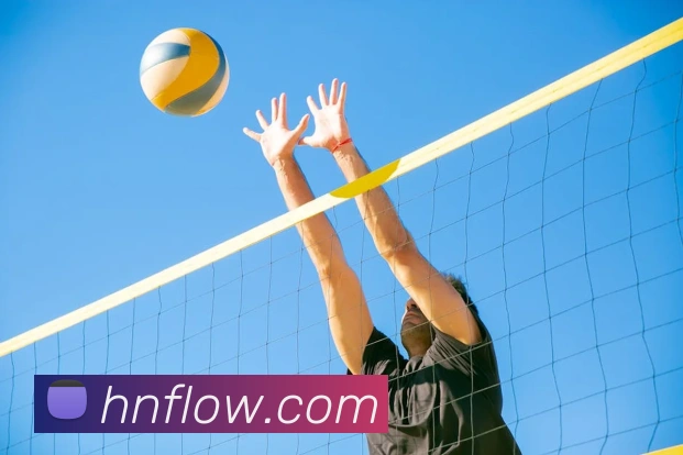 澳亚国际首页发展历程